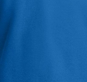 Port Authority Broadcloth Gingham Easy Care Shirt, Royal Blue, swatch